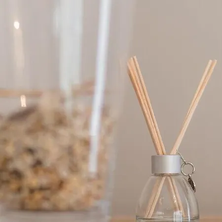 Oud Klooster 0001 In Διαμέρισμα De Haan