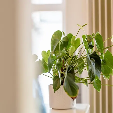 Oud Klooster 0001 In